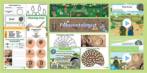 Explaining Fossils Resource Pack