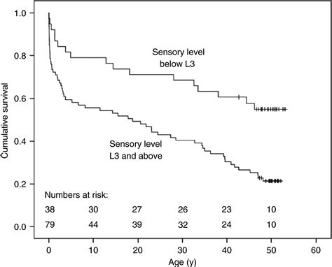 Spina Bifida Life Expectancy