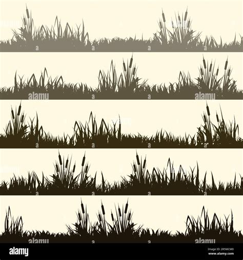Meadow silhouettes with grass, plants on plain. Panoramic summer lawn landscape with herbs ...