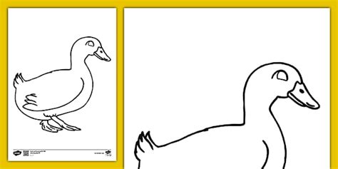 Cute Duck Colouring | Colouring Sheets