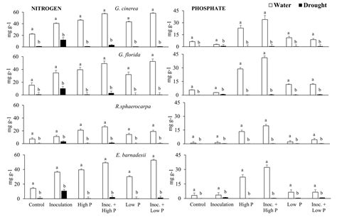 Phosphorus and Nitrogen Modulate Plant Performance in Shrubby Legumes ...
