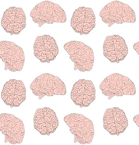 Brain Pattern Vector 的图像结果