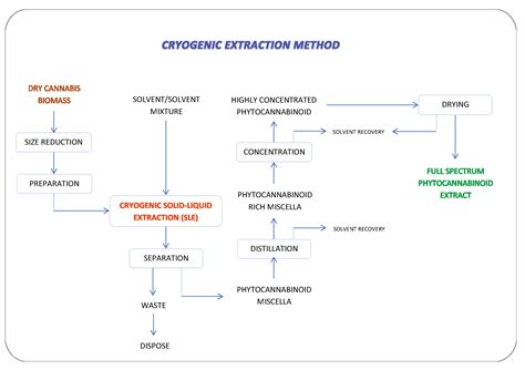 Cryogenic Extraction System