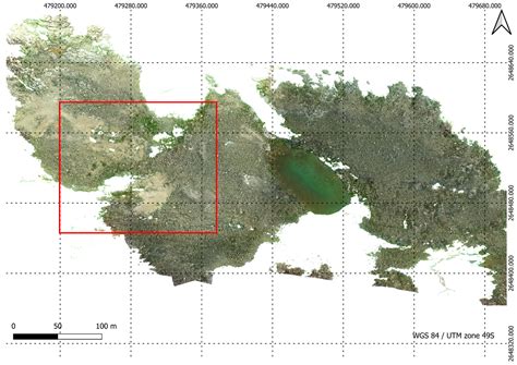 Monitoring of Antarctica’s Fragile Vegetation Using Drone-Based Remote ...