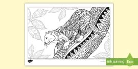 Persian Cat Colouring Page - Cat Colouring Page | Twinkl