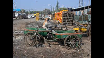 Bird flu confirmed in Delhi; all eight samples found positive for avian ...