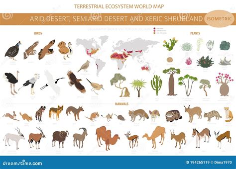 Desert Biome, Xeric Shrubland Biome, Natural Region Infographic. Terrestrial Ecosystem World Map ...