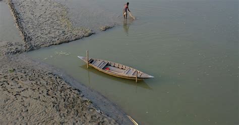 WordPress Local Development Environment 的图像结果