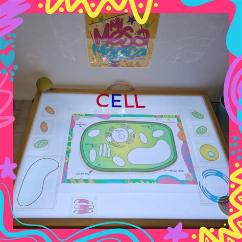 Láminas de mesa de luz “VEGETAL CELLS” en inglés | Mi Mesa Magica
