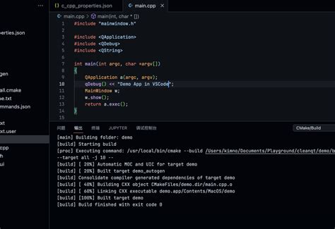 Setting JSON CMake Vscode 的图像结果