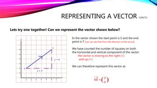 Vector Representation 的图像结果