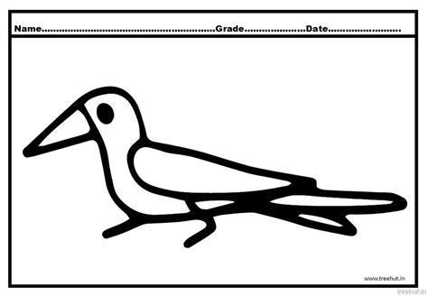 Crow Coloring Pages