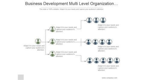Business Development Hierarchy Structure 的图像结果