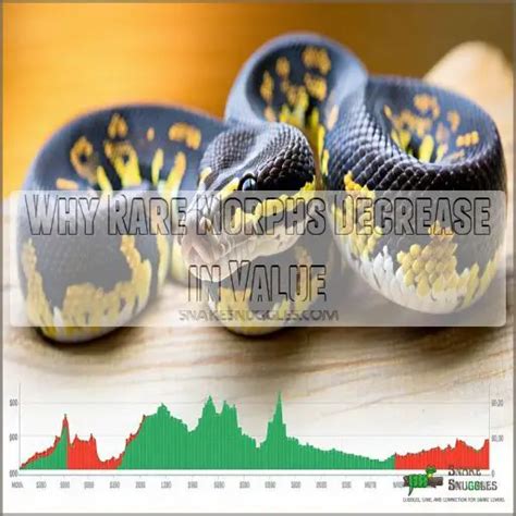 Image result for Rarest Python