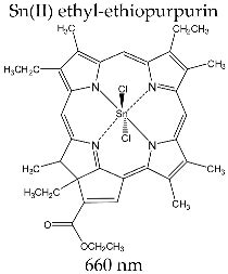 Porphyrin Macrocycles: General Properties and Theranostic Potential