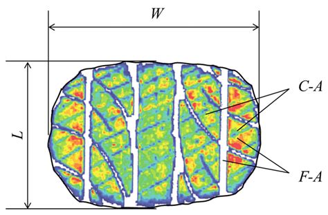 Tire–Pavement Contact Behavior | Encyclopedia MDPI