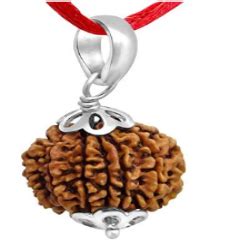 9 Mukhi Nepali Rudraksha Pendant – Isvara