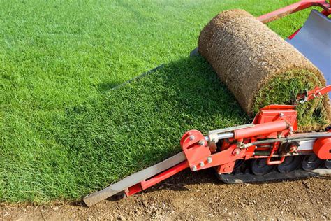 2023 Sod & Grass Removal Cost | Lawn & Turf Removal Prices