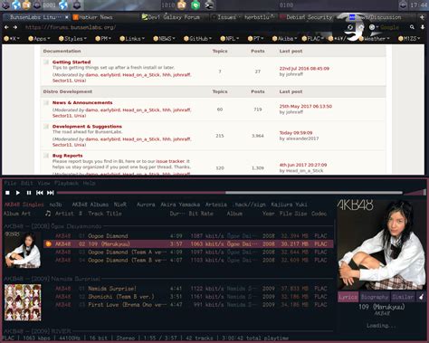 Herbstluftwm Configs / Scripts, Tutorials & Tips / BunsenLabs Linux Forums