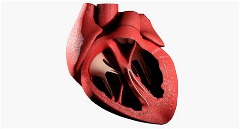 Image result for Heart with Name Using Python