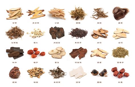 Chinese Herbal Medicine 的图像结果