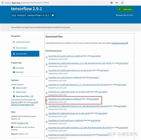 Tensorflow Python Version 的图像结果