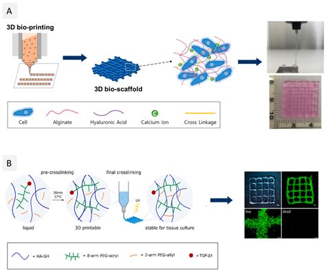 A Guide to Polysaccharide-Based Hydrogel Bioinks for 3D Bioprinting ...