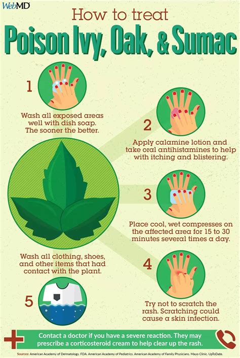 Youtube Poison Ivy Treatment at Emma Acevedo blog