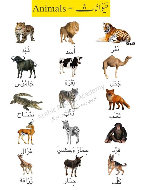 Arabic Animals Vocabulary | Learning arabic, Arabic kids, Alphabet ...