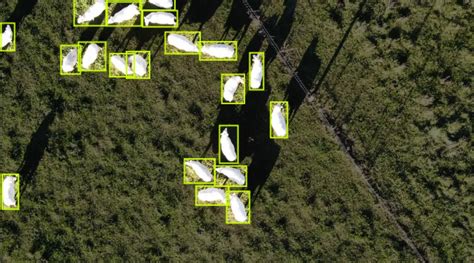 Top 6 Agriculture Datasets for Computer Vision