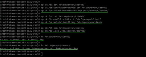 Easy-Rsa OpenVPN 的图像结果