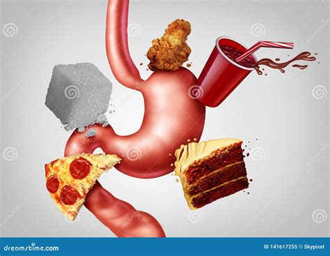 Digestive Health and Junk Food Stock Illustration - Illustration of digest, concept: 141617255
