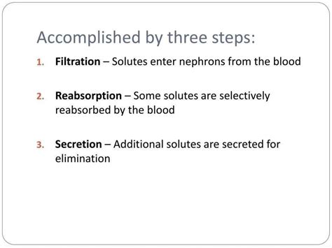Urine-formation-ppt.pptx A powerpoint on the mechanism of urine production | PPTX