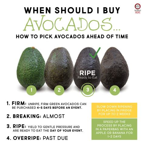 How to Pick the Perfect Ripe Avocado - The Produce Moms