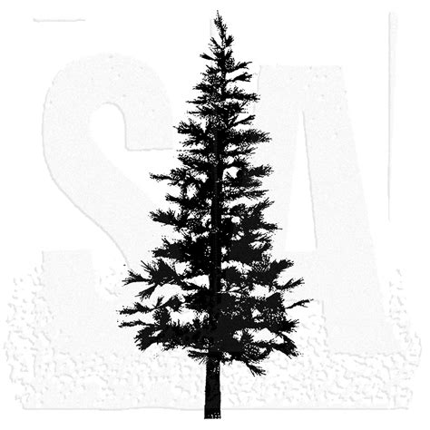 Pine Tree Outline 的图像结果