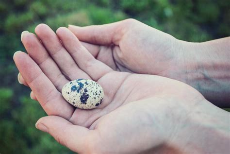 Top 5 Healthy Choices from the AACPS Lunch Menu