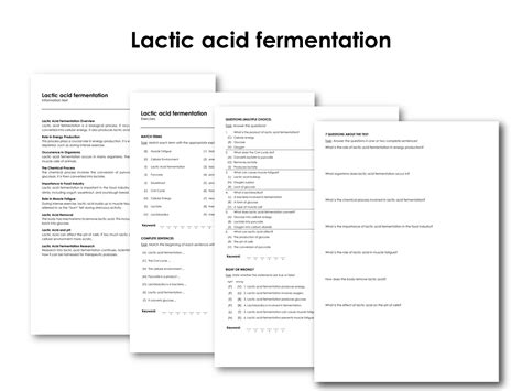 Lactic acid fermentation | Made By Teachers