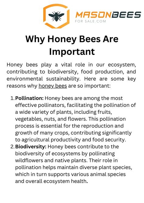 PPT - Why Honey Bees Are Important PowerPoint Presentation, free ...