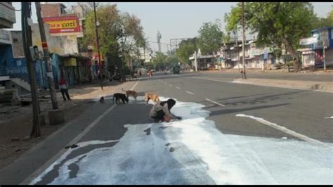 Video | Lockdown leaves Agra man, dogs drinking milk spilt on road