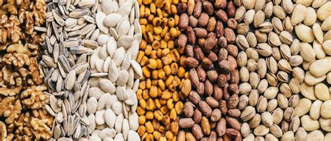 Welcome to State Seeds Corporation Limited,ODISHA