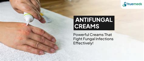 Yeast Infection Cream For Men Yeast Infection In Men (A Complete