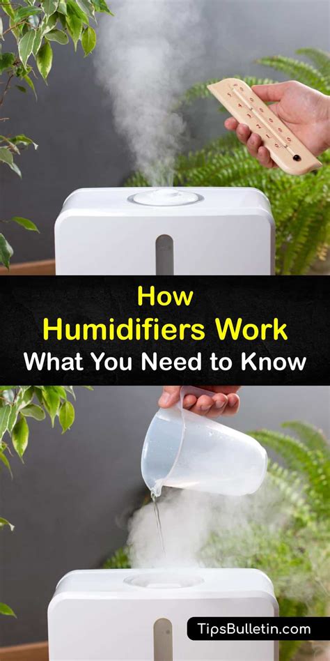 Image result for Humidifier Working
