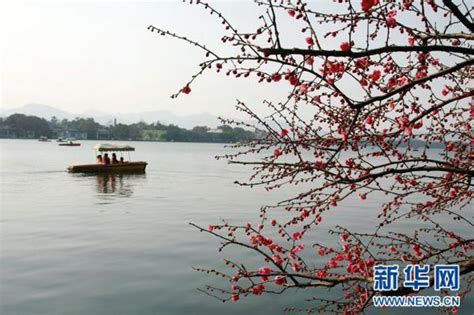 杭州最后一个“流水系” 老小区旧貌换新颜