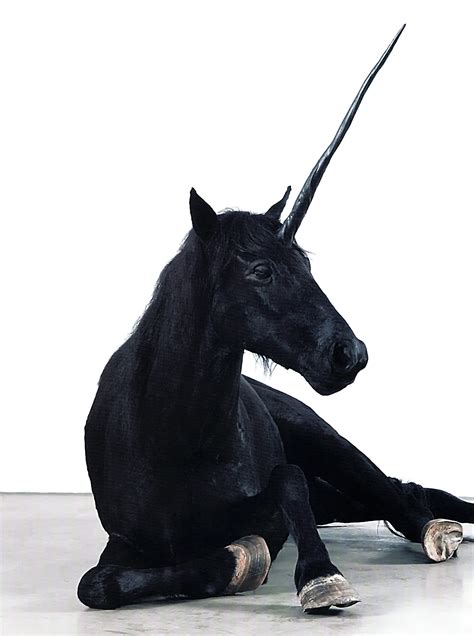 Black Unicorn. A Cartograph of Escape from the Sunken… | by ...
