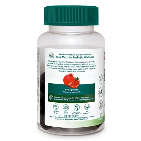 Buy Himalaya Healthy Gut Probiotic GUMMIES 30s, 60s – Himalaya Wellness ...