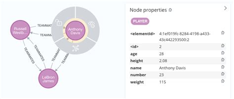 Mimic Knowledge Graph 的图像结果