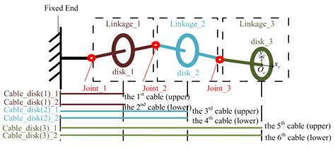 Investigation on the Tip Positioning Accuracy of Cable-Driven ...
