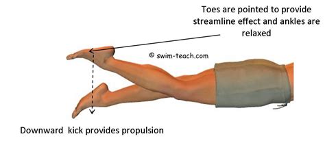 Freestyle Swimming 的图像结果