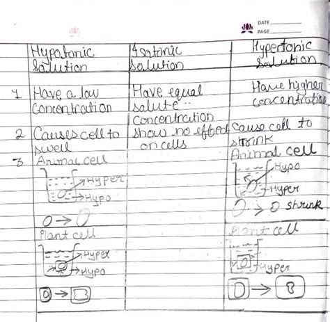 Difference between hypotonic, hypertonic and isotonic in table - Brainly.in