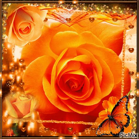 Orange Rose Gif Images at Lily Ruben blog